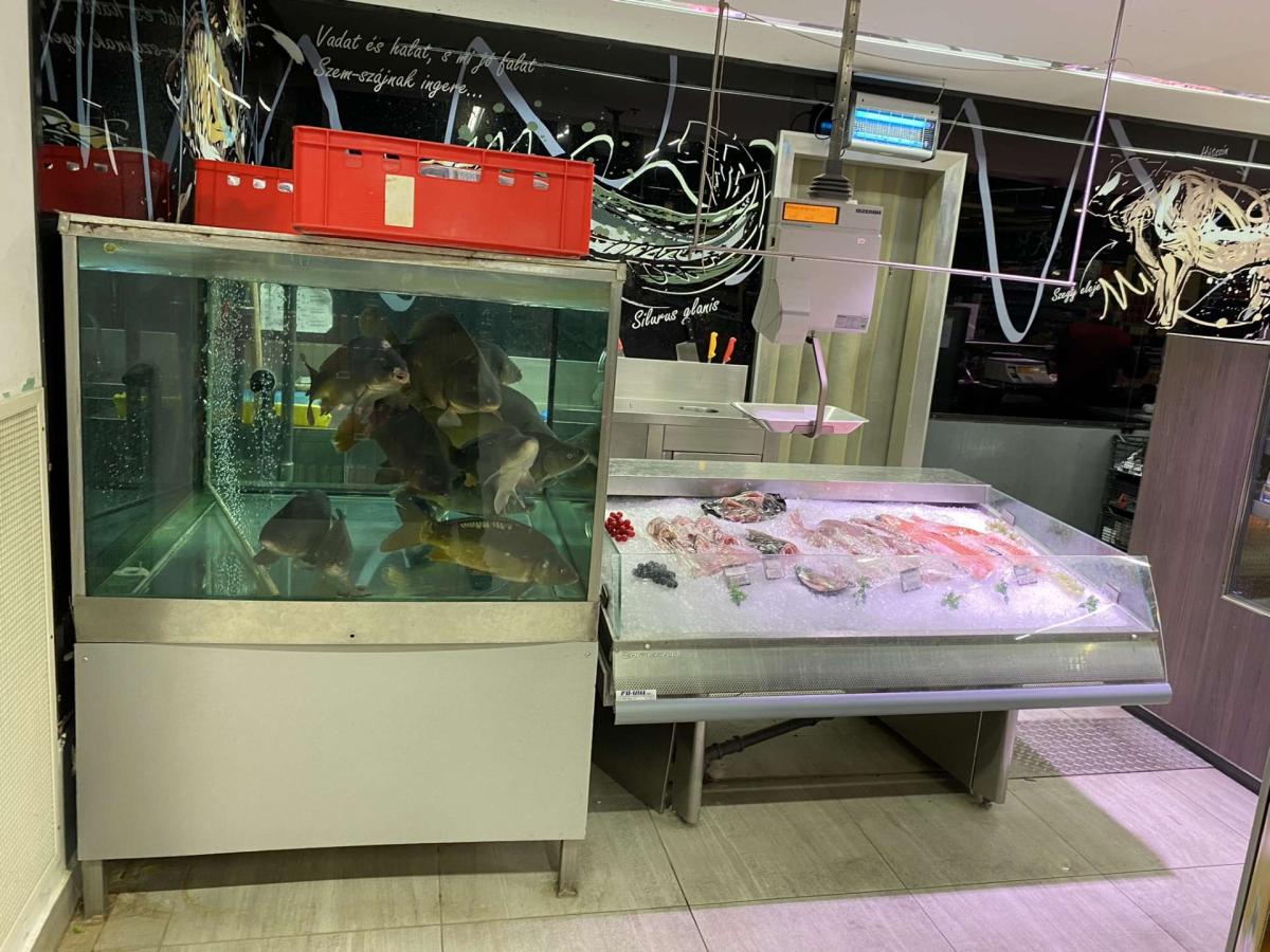 Bizerba  SC400 halas mérleg – termékfotó (11. kép)